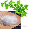 Agen pendingin Taima Mentol Ice 99,9%L harga mentol